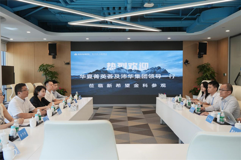 图片8